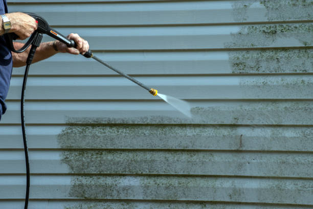 Best Pressure Washing Company Near Me  in Alton, TX