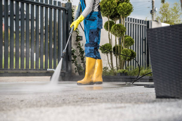 Best Commercial Building Pressure Washing  in Alton, TX