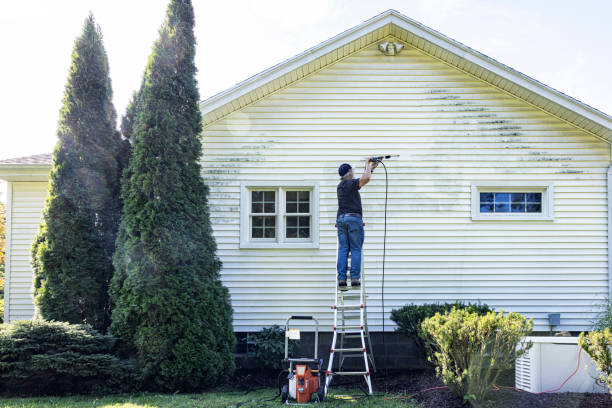 Best Residential Pressure Washing Services  in Alton, TX