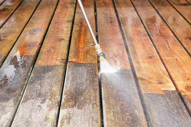 Professional Pressure Washing in Alton, TX