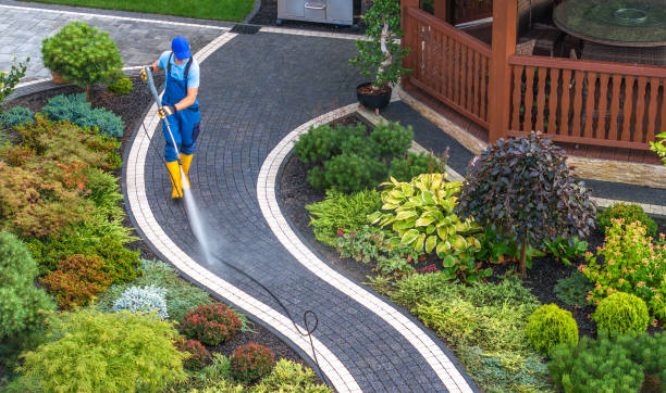 Best Power Washing Near Me  in Alton, TX