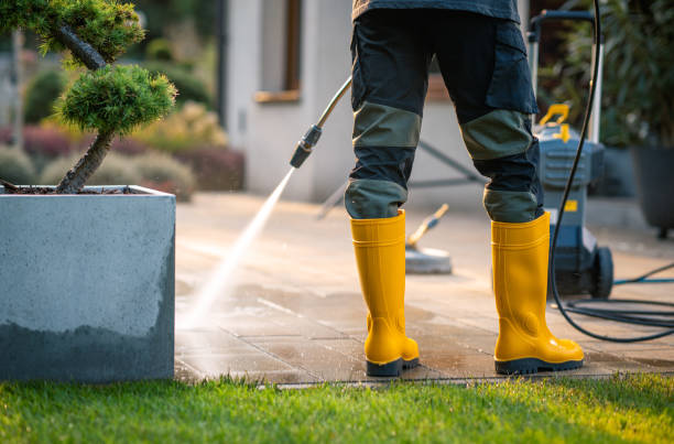 Roof Power Washing Services in Alton, TX